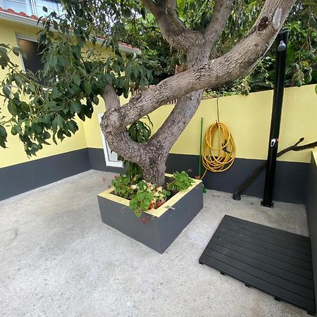 Quintinha Dos Reis Villa Funchal  Luaran gambar