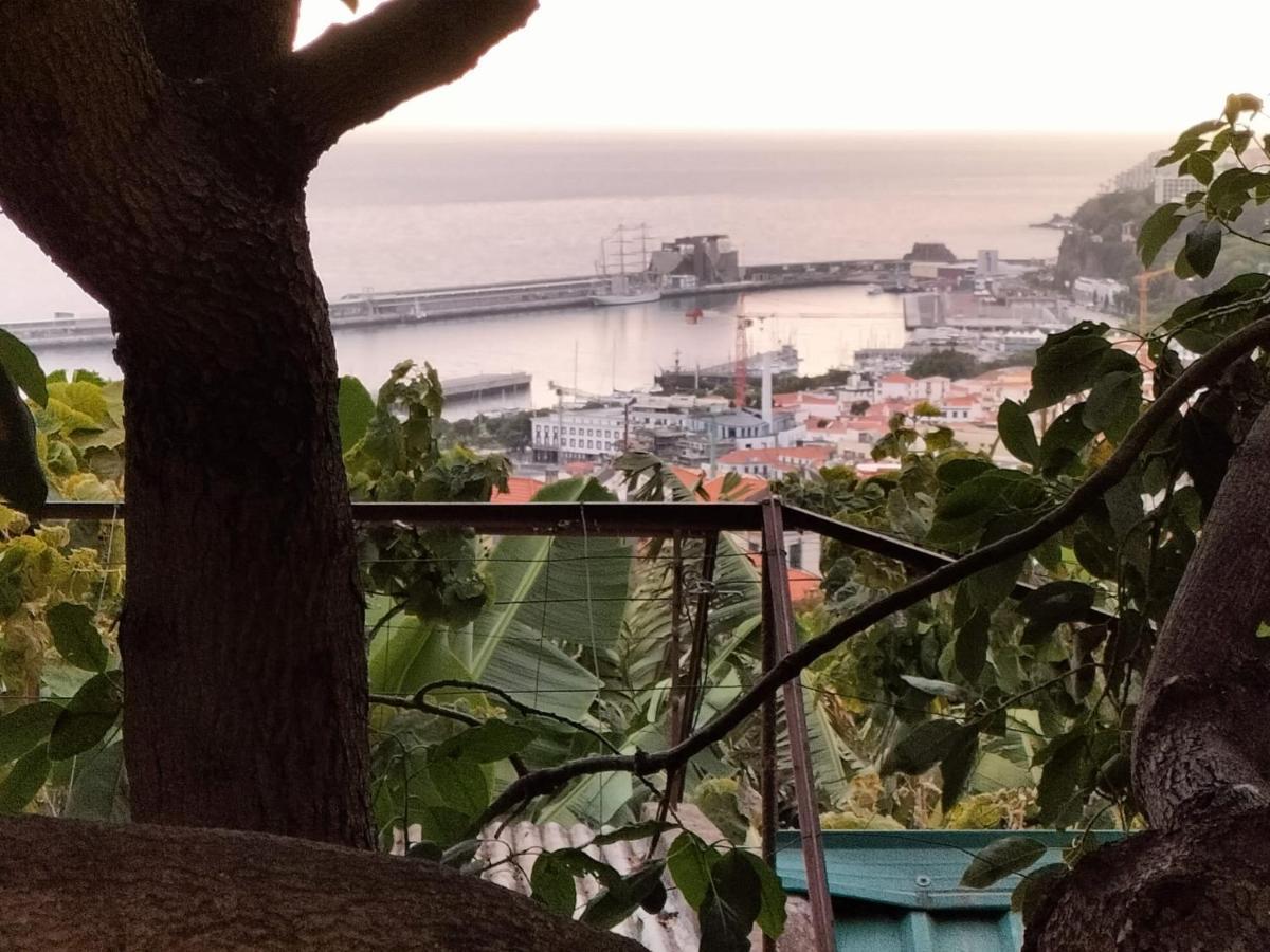 Quintinha Dos Reis Villa Funchal  Luaran gambar