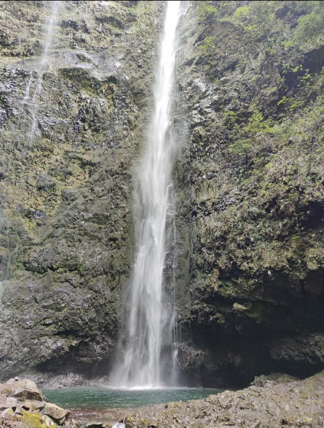 Quintinha Dos Reis Villa Funchal  Luaran gambar